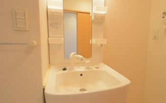 シャンプードレッサー