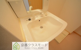シャンプードレッサー