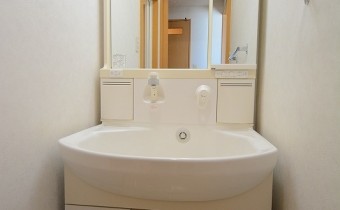 シャンプードレッサー