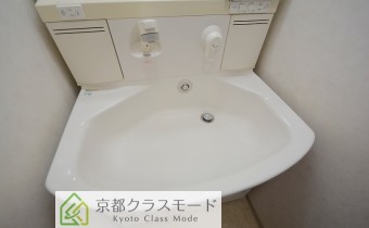 シャンプードレッサー