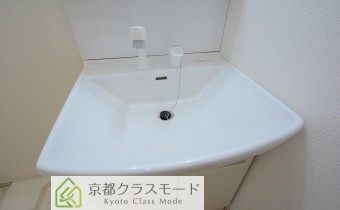 シャンプードレッサー