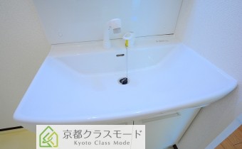 シャンプードレッサー