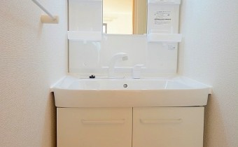 シャンプードレッサー