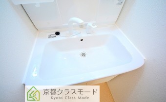 シャンプードレッサー