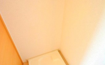 室内洗濯機置場　＊画像は同タイプ301号室の画像です。