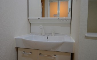 シャンプードレッサー