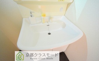シャンプードレッサー