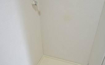 室内洗濯機置場　※室内写真は同マンション内の307号室のものです。