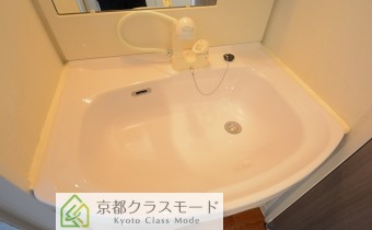 シャンプードレッサー