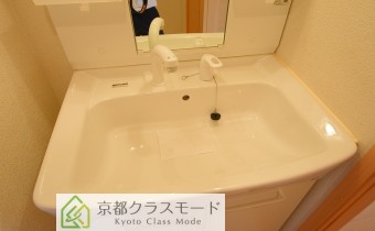 シャンプードレッサー