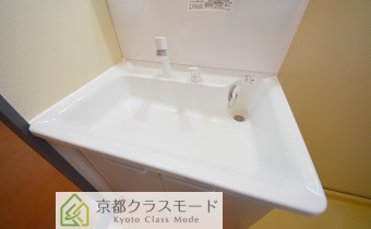 シャンプードレッサー