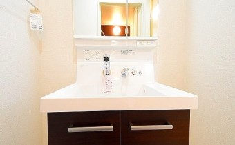 シャンプードレッサー