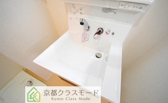 シャンプードレッサー