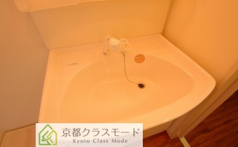 シャンプードレッサー