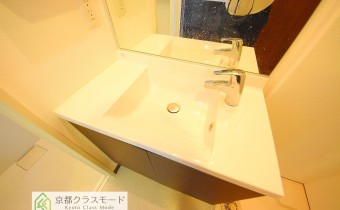 シャンプードレッサー