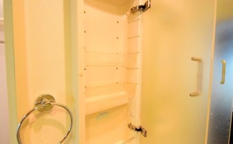 サニタリー収納