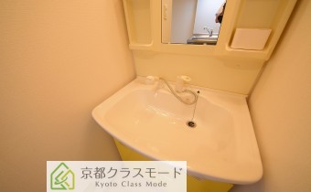 シャンプードレッサー