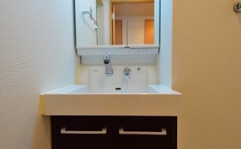 シャンプードレッサー