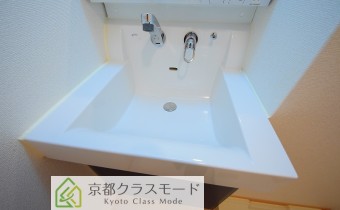 シャンプードレッサー