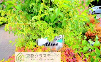 エンブレム