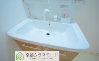 シャンプードレッサー