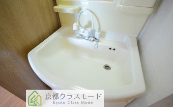 シャンプードレッサー