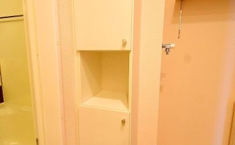 サニタリー収納