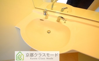 シャンプードレッサー