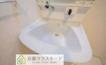 シャンプードレッサー