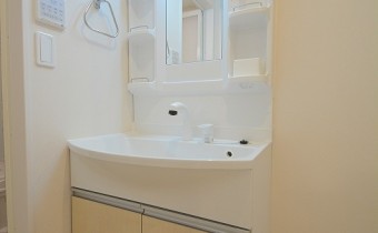 シャンプードレッサー
