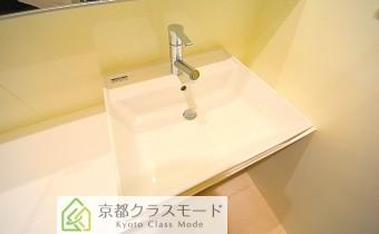 シャンプードレッサー