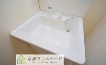 シャンプードレッサー