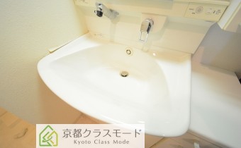 シャンプードレッサー