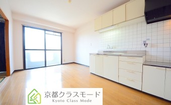 DK8.3帖