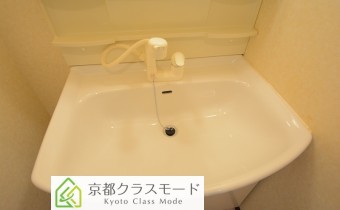 シャンプードレッサー