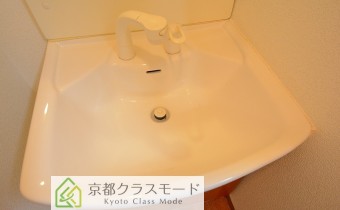 シャンプードレッサー