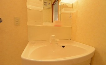 シャンプードレッサー