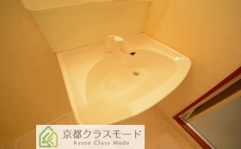 シャンプードレッサー