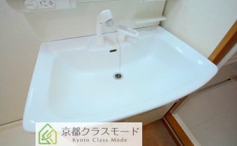 シャンプードレッサー