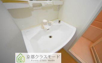 シャンプードレッサー