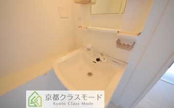 シャンプードレッサー