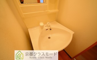 シャンプードレッサー