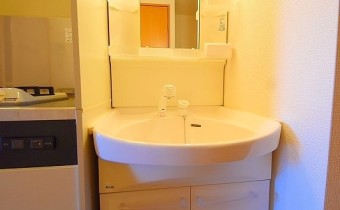 シャンプードレッサー