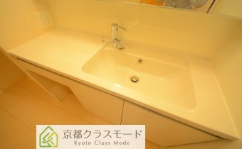 シャンプードレッサー