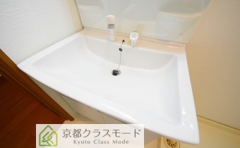 シャンプードレッサー