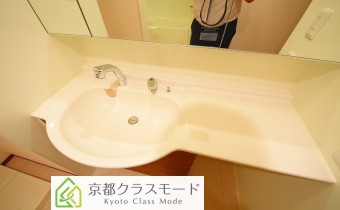 シャンプードレッサー