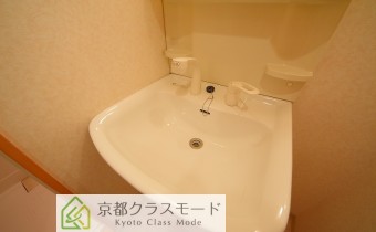 シャンプードレッサー