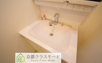 シャンプードレッサー