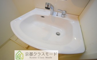 シャンプードレッサー
