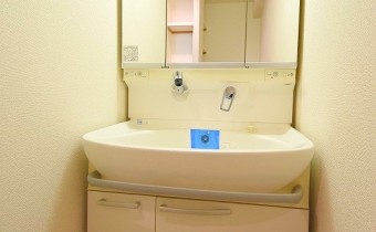 シャンプードレッサー